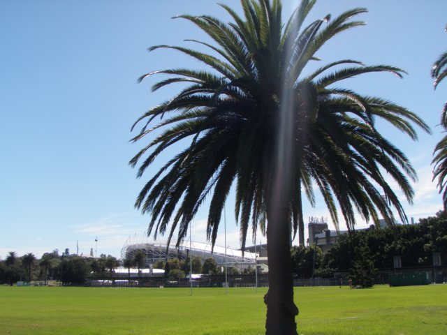 p2270121.jpg